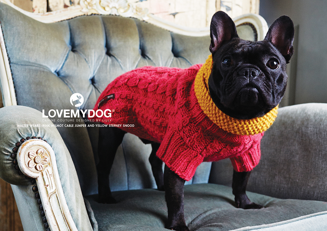 Luxusní svetry pro psy
