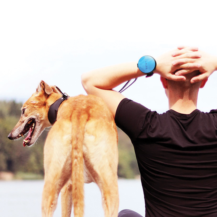 Hands-free vodítko Lishinu - sportování se psem