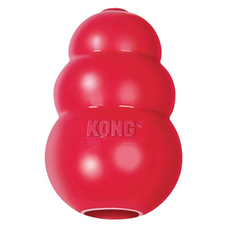 Nezničitelný Kong Classic hračka odolná pro psy