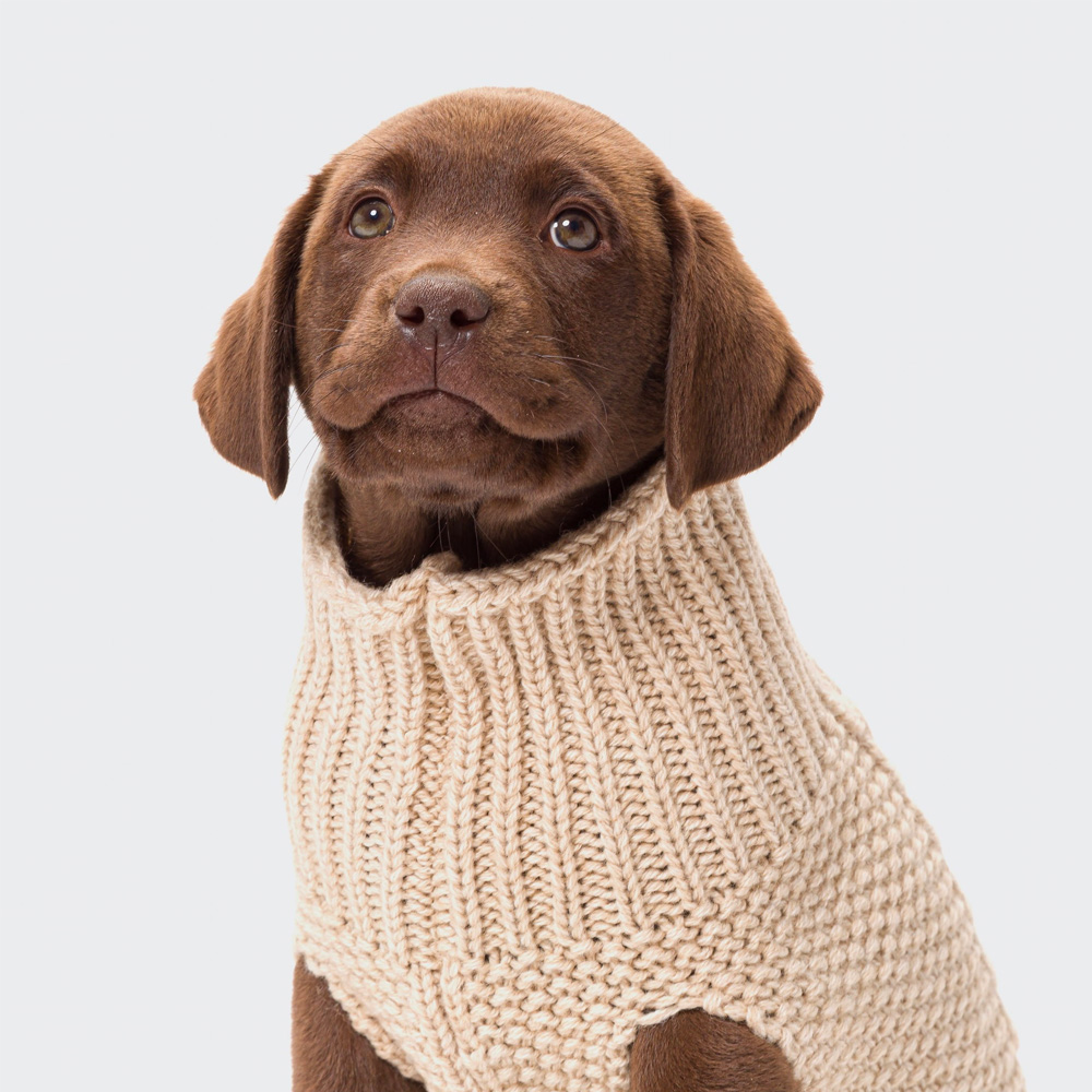 cloud7 luxusni svetr pro psy oslo beige3