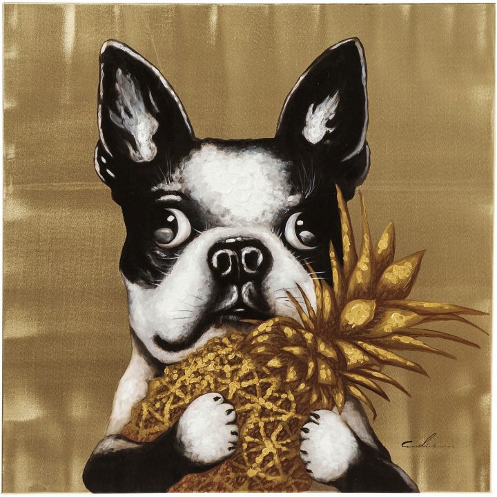 Obraz Dog with Pineapple bostonský teriér francouzský buldoček