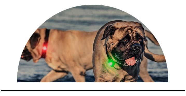 LED světlo obojek pro psy kvalitní přívěsek